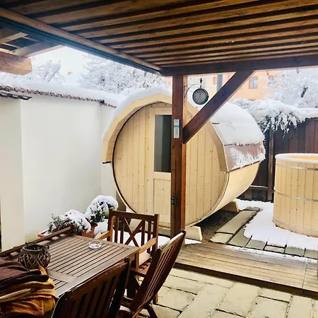 Villa Wellness Sirius In Center Of Cb Ceske Budejovice